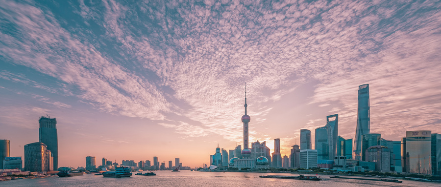 2024年上海市生物医药产业发展速览